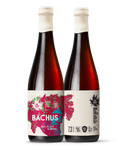 Bachus 3.0, Grape Ale