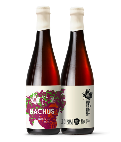 Bachus 2023 - Grape Ale (Aged in Amphora)