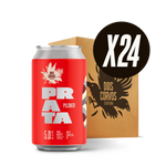 Pack 24 Prata
